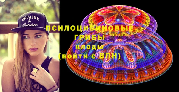 спиды Карпинск
