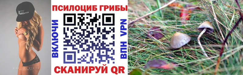 Купить  Ревда  Галлюциногенные грибы мицелий 
